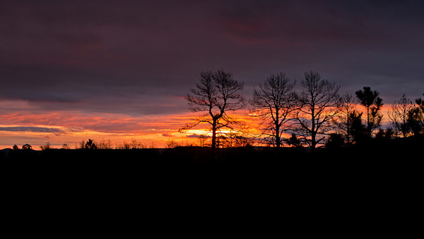 How to Pick a Small Game Hunting Spot