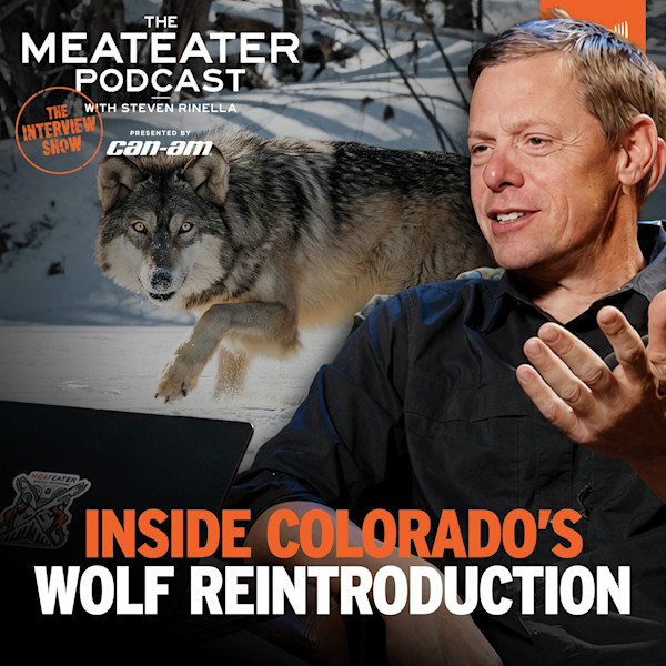 THE MEATEATER PODCAST WITH STEVEN RINELLA — INSIDE COLORADO'S WOLF REINTRODUCTION; wolf and host