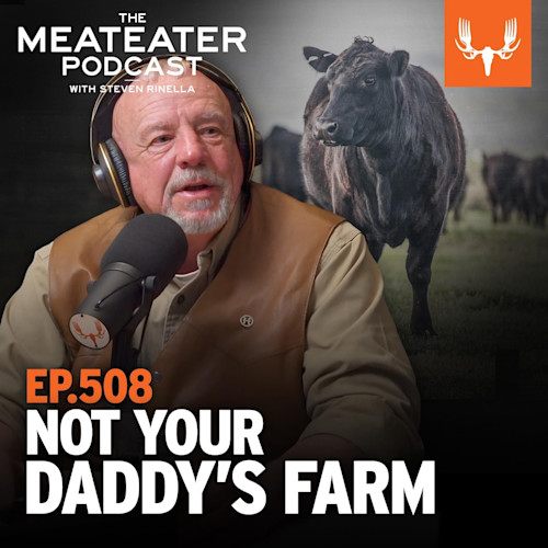 MEATEATER PODCAST WITH STEVEN RINELLA — EP.508 NOT YOUR DADDY'S FARM; host at microphone, black cow behind