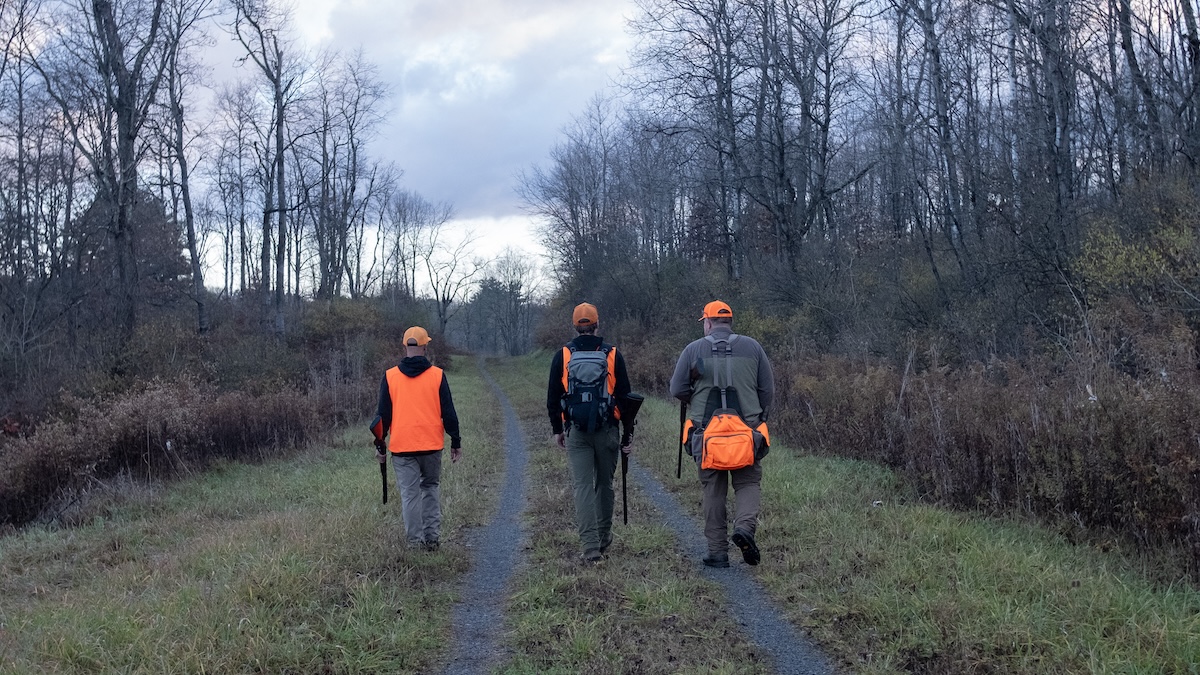 walking for woodcock