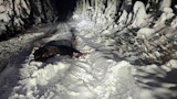 Hunters Turn In Trophy Moose Poacher in Idaho 