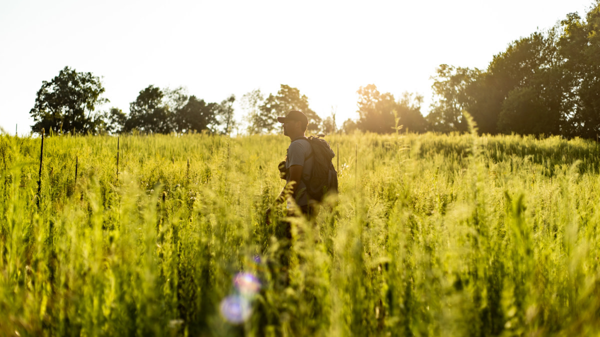 10 Natural Food Sources Every Deer Hunter Should Know