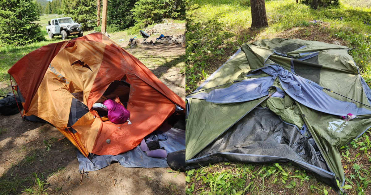 Black Bear Attacks Two Women in Tents Black Bear Attacks Two Women in Tents