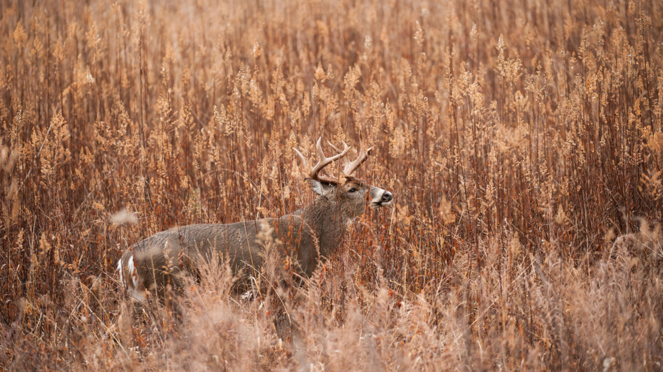 4 Things You Should't Do While Cold Weather Bowhunting 