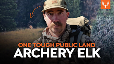 Public Land Archery Elk