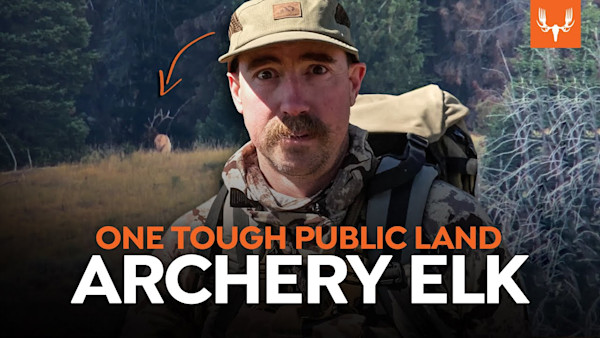 Public Land Archery Elk