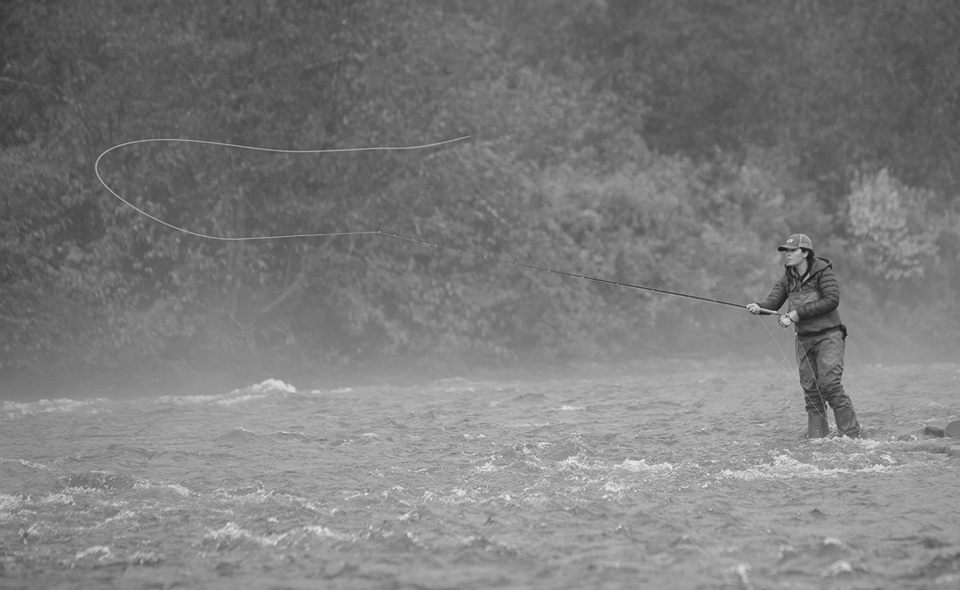 Spey Casting for Steelhead: What's In A Cast?