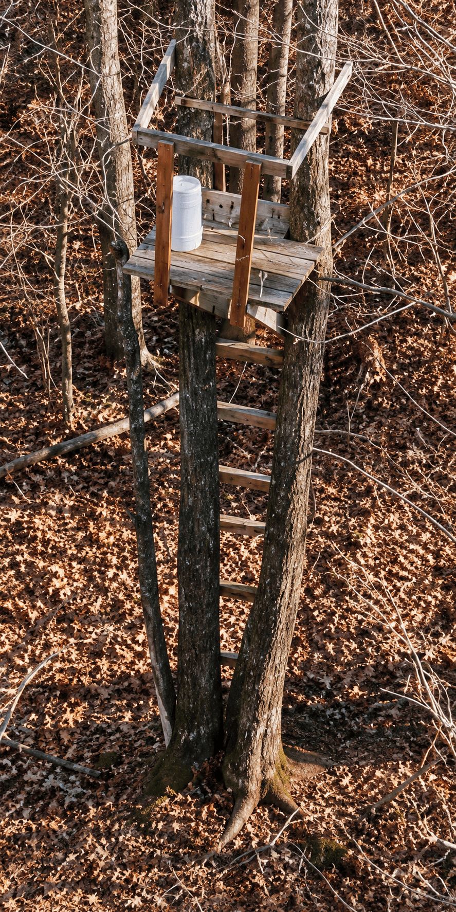 Wooden tree stand between three trunks with ladder and white cooler