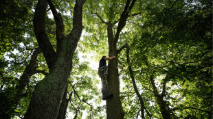 You’re Hanging Your Tree Stands Wrong