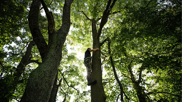 You’re Hanging Your Tree Stands Wrong