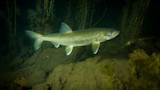 3 Tricks To Help You Catch More Fish in Deep Water