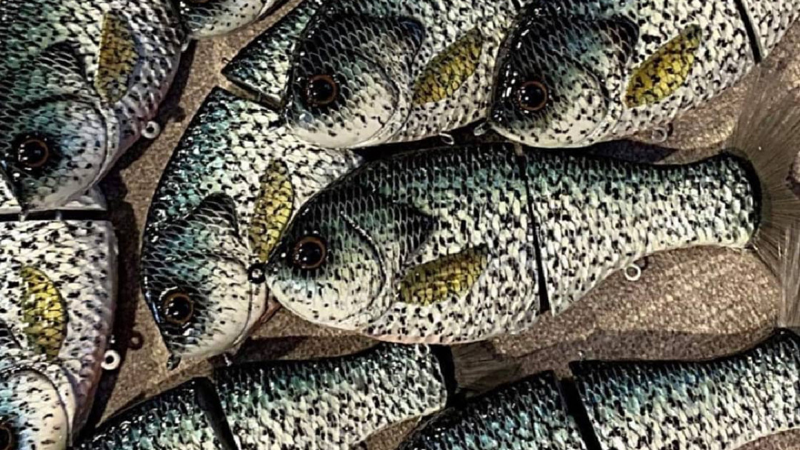 How to Fish for Black Crappie - Rambling Angler Outdoors