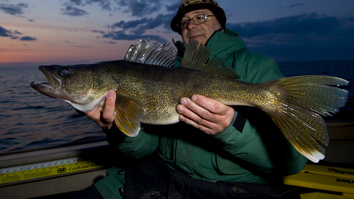Walleye fishing in 2023 will go down as 'one for the record books