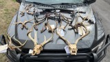Poacher Faces Lifetime Hunting Ban for Assaulting Landowner