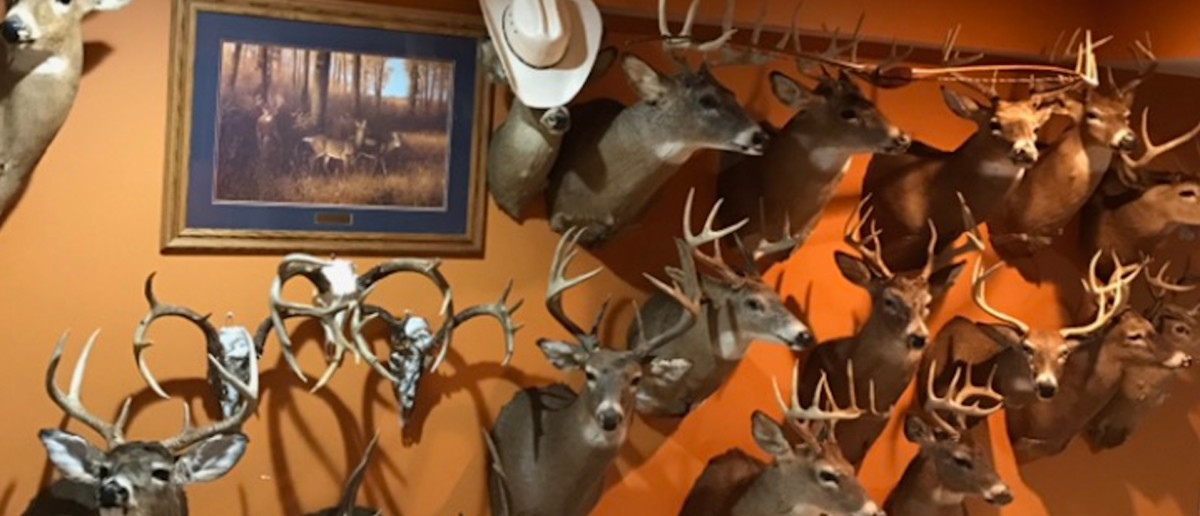 DIY Deer Hunter Profile: Chad Chrysler