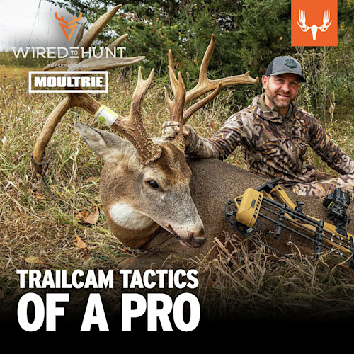 Hunter kneeling by large buck and compound bow; text overlay "WIRED TO HUNT" and "MOULTRIE"