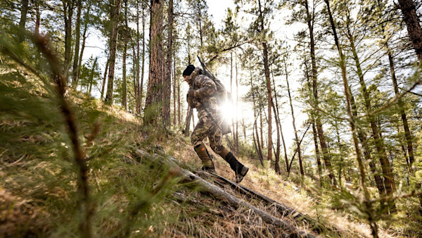 If You Can Only Have One Gun, Pick This One