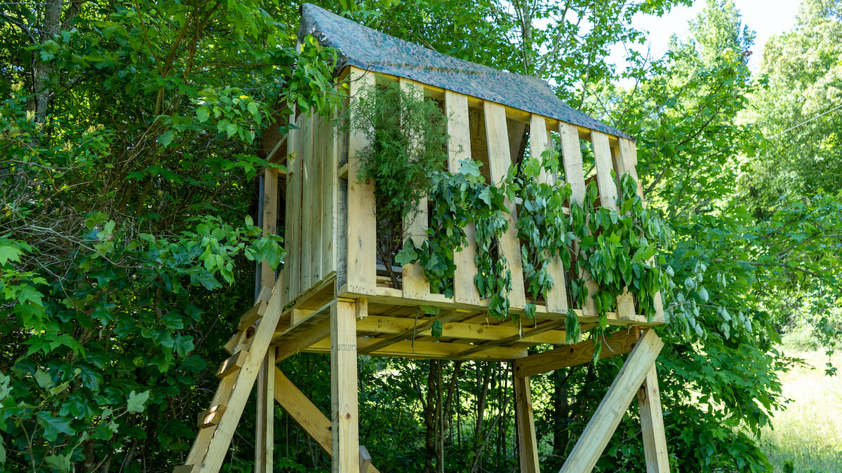 Photos: How to Build a Deer Blind From Pallets