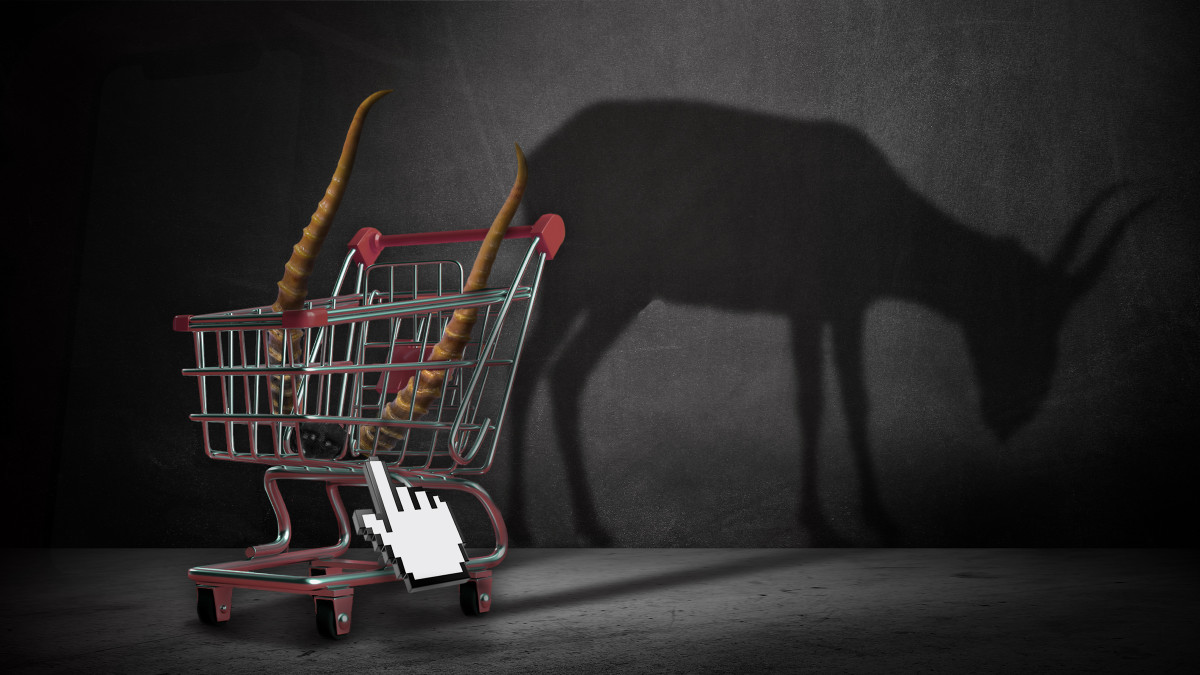 Major Online Retailers Acted as Black Market for Endangered Animal Parts