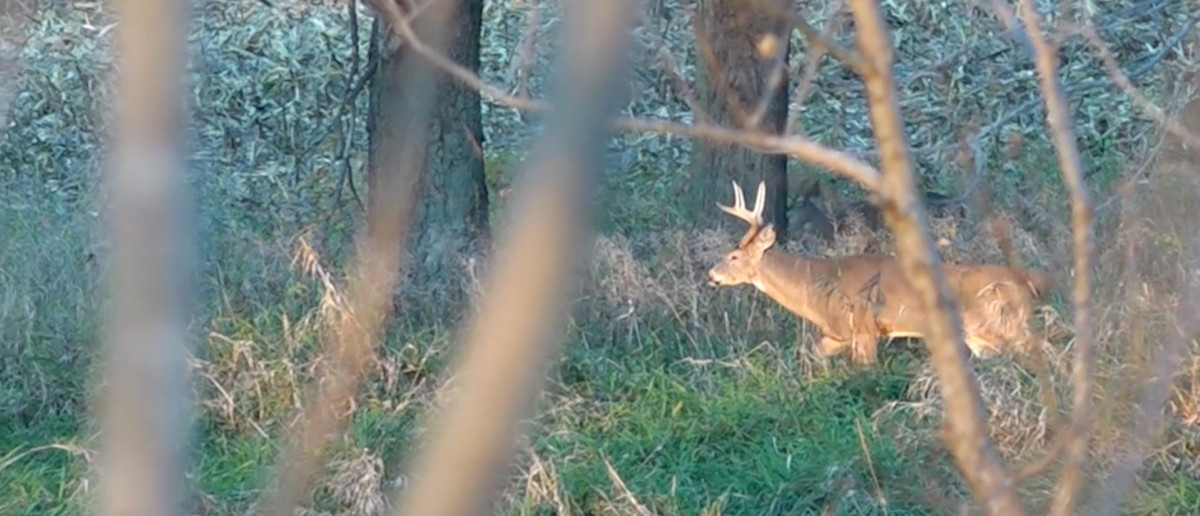 EXTENDED HOLYFIELD FOOTAGE – #WiredToHuntWeekly 21 (Video)