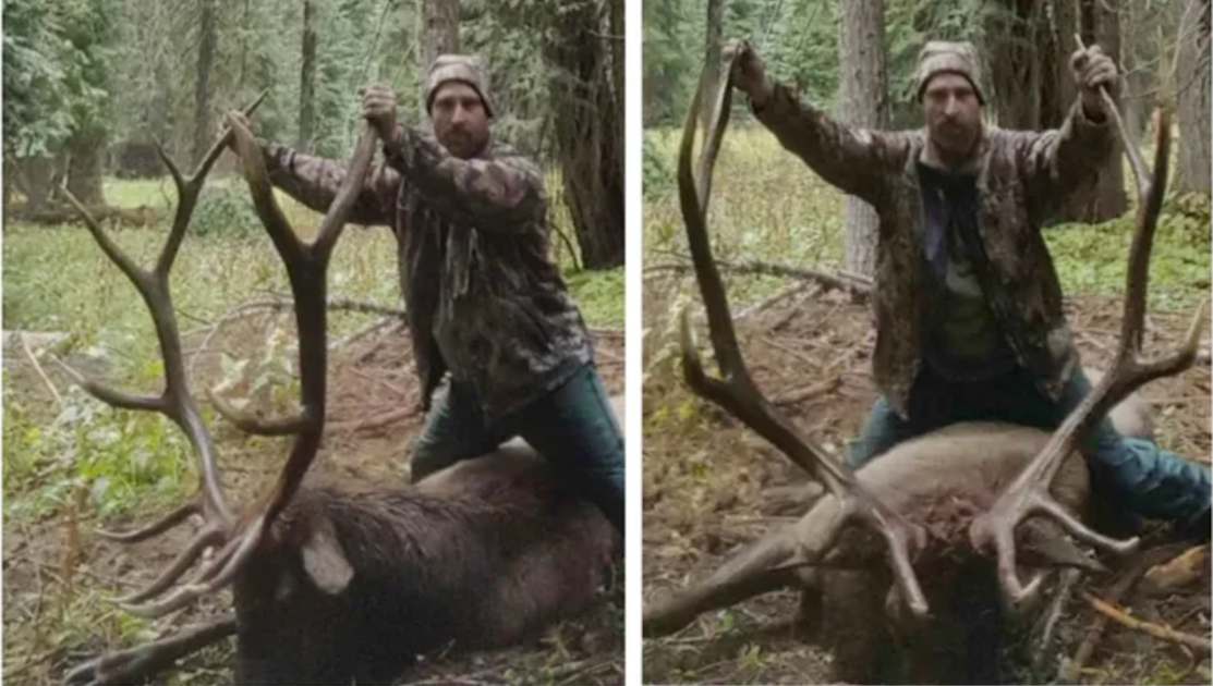 Oregon Man Sentenced for Poaching in National Park MeatEater
