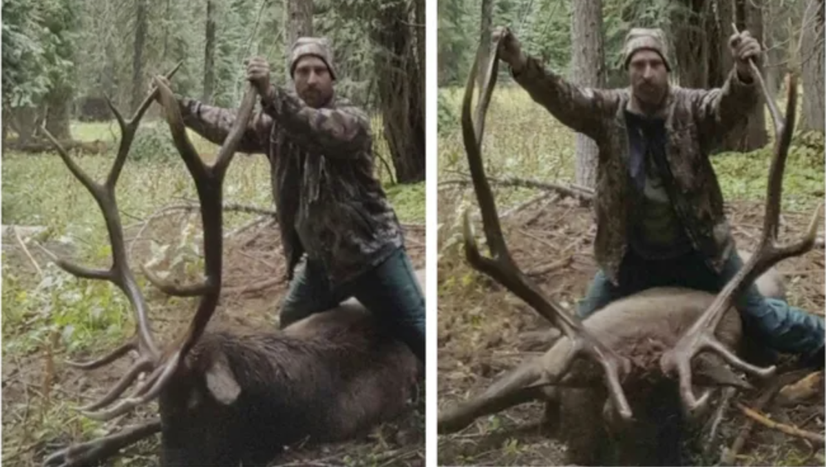 Oregon Man Sentenced for Poaching in National Park