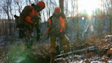 Downed deer with two hunters in orange vests in snowy woods with sun flare