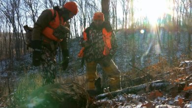 Downed deer with two hunters in orange vests in snowy woods with sun flare