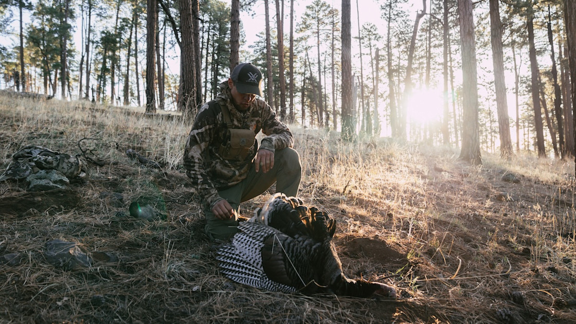 How to Turkey Hunt: The Ultimate Beginner’s Guide How to Turkey Hunt: The Ultimate Beginner’s Guide