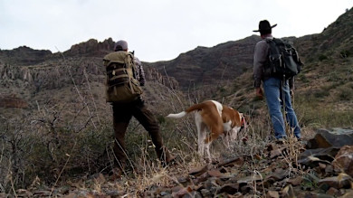 Two hunters with backpacks and a tracking dog in a rocky canyon