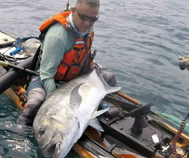 Tiger shark attacks kayaker off Hawaii coast: 'Mistook me for the seal