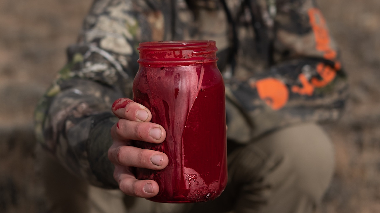 Blood Cooking Blood Thirsty: Everything You Need to Know about Collecting and Cooking ...
