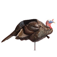 DSD 3/4 Strut Jake Decoy