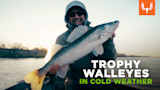 SQ_TP_WALLEYE_1920x1080_2_V1.jpg