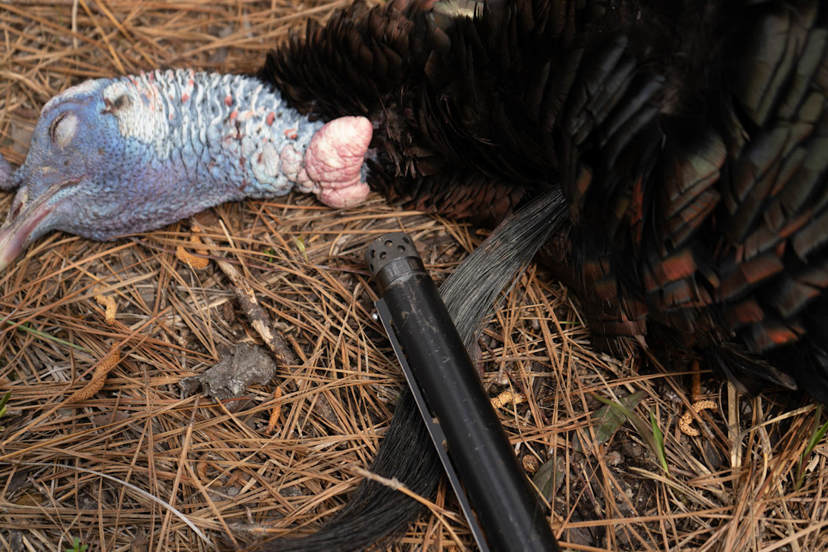 turkeywithtightwad.jpg