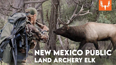 New Mexico Public Land Archery Elk