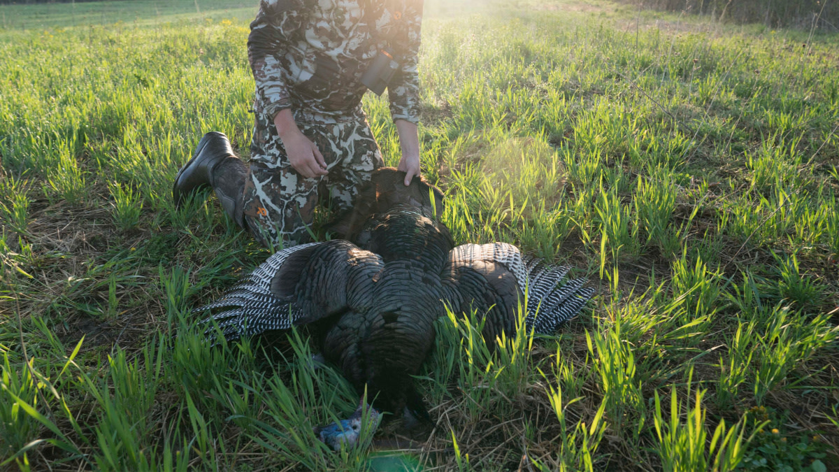 How to Gut a Turkey | MeatEater Hunting How to Gut a Turkey | MeatEater Hunting