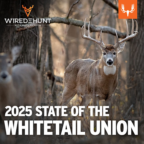 '2025 STATE OF THE WHITETAIL UNION' over buck standing in woods