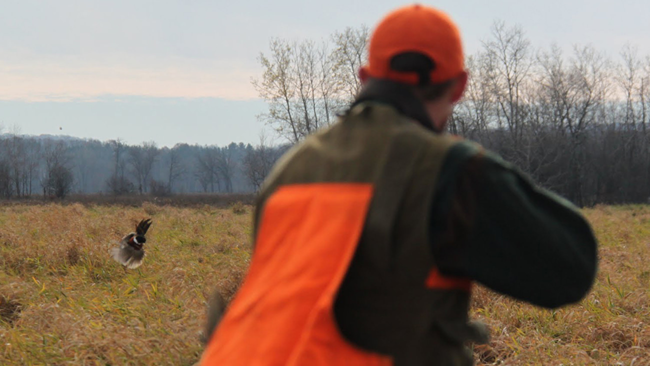 Tips for JumpShooting and Flushing Small Game MeatEater Hunting