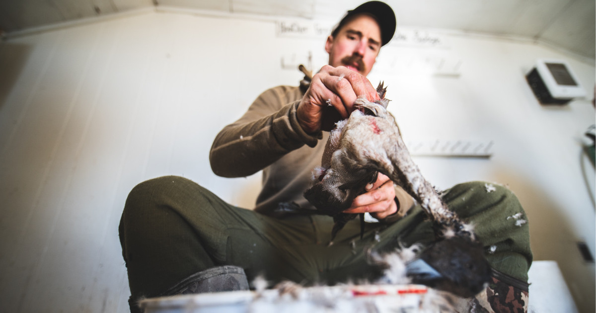 How to Cook Diver Ducks | MeatEater Wild Foods