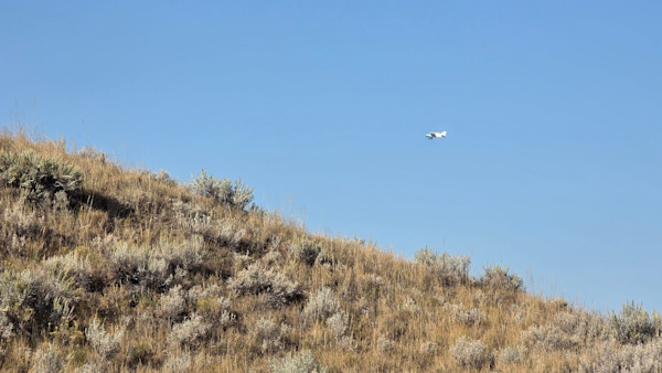 Wyoming Hunters Accuse Ranchers of Using a Plane to Herd Elk