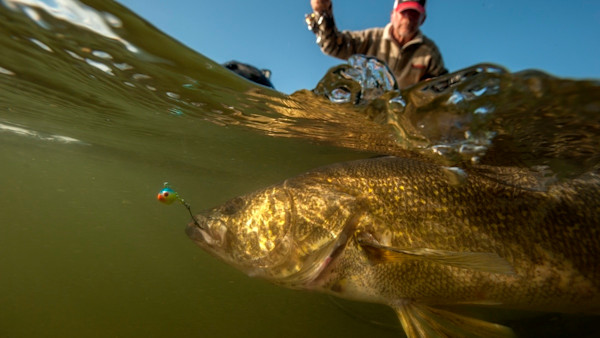 Best Walleye Lures, Baits, and Tactics