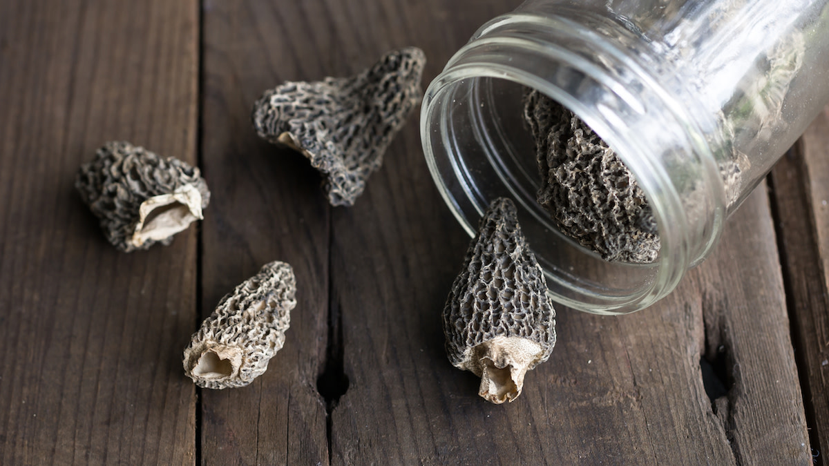 How to Dry Morel Mushrooms Without a Dehydrator