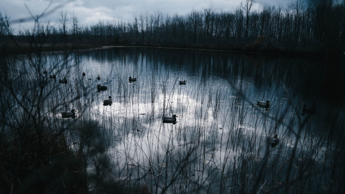 How to make a DIY Long Line Decoy set up and Coot Spread 