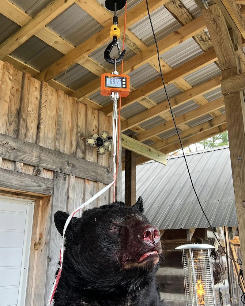 Photos Hunter Harvests RecordBreaking Black Bear MeatEater Conservation