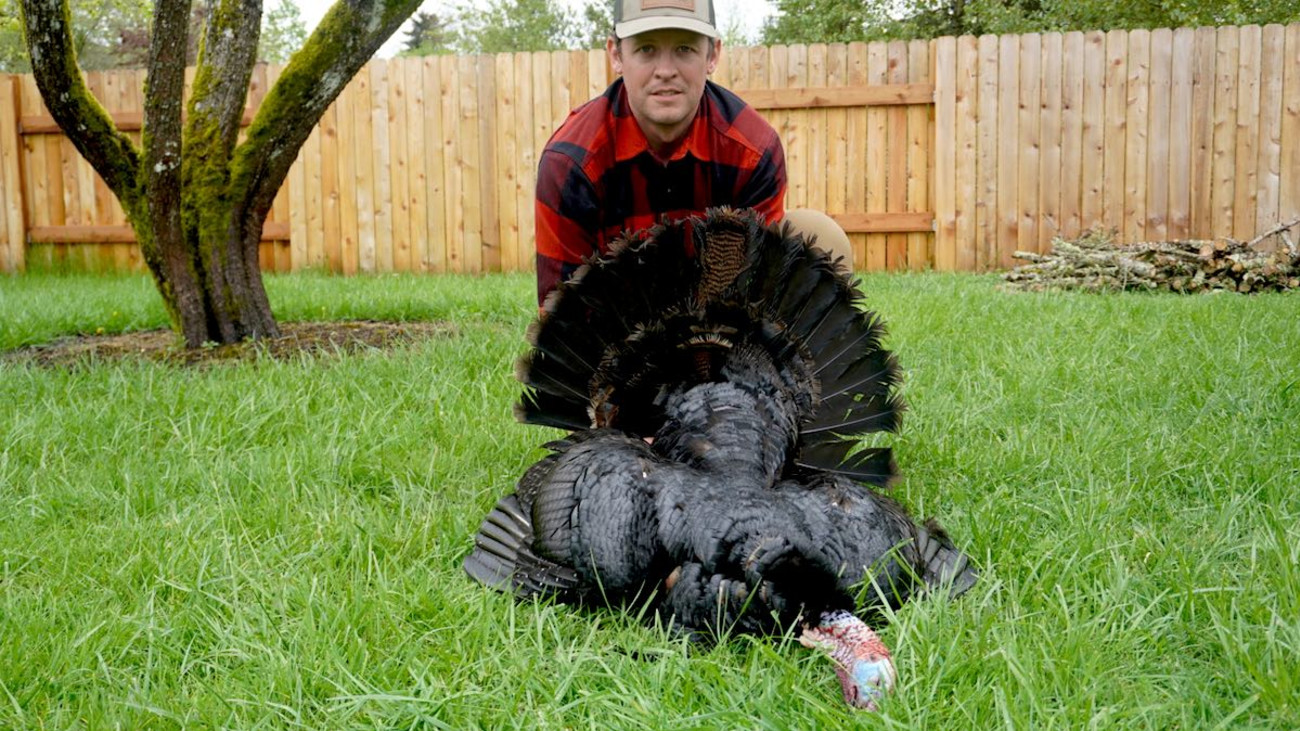 Ultra-Rare Color Phase Turkey Killed in Oregon