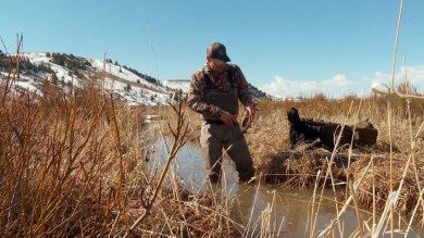 Hunter wading in shallow stream holding a trap, wearing camo and cap with backpack nearby