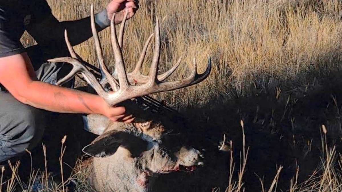 Montana Man Sentenced After Poaching Big Nontypical Buck