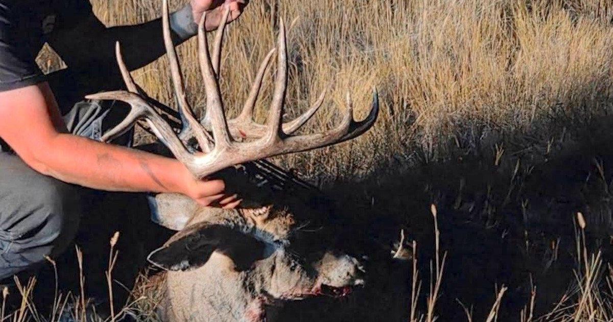 Montana Man Sentenced After Poaching Big Nontypical Buck Montana Man Sentenced After Poaching Big Nontypical Buck
