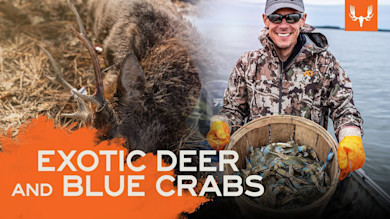 Ghosts of The Chesapeake Part 1